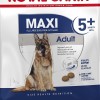 Royal Canin Seca Maxi Adulto 5+